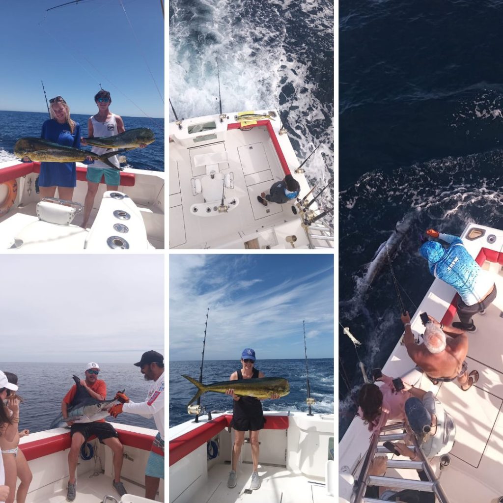 Cabo Fishing Report – March 2024 – Picante Sportfishing
