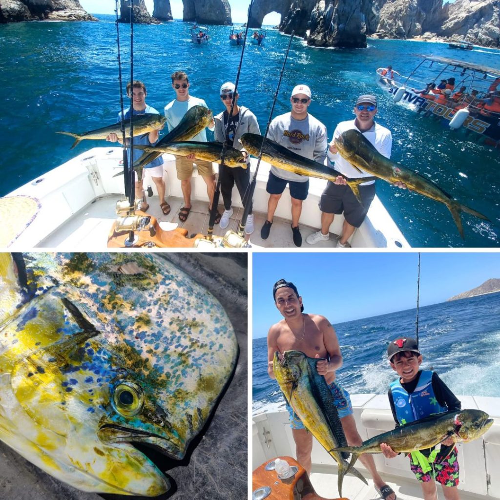 Dorado fishing in Cabo San Lucas