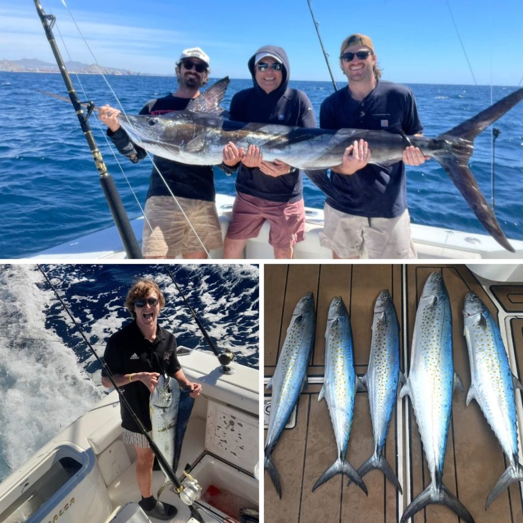 Striped marlin, Dorado and sierra aboard the Picante fleet