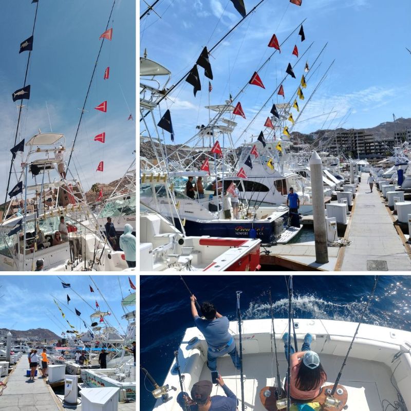 Fishing flags everywhere!