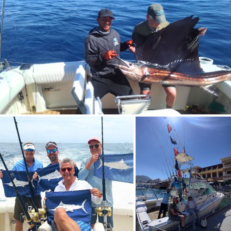 Sailfish aboard the Picante 45