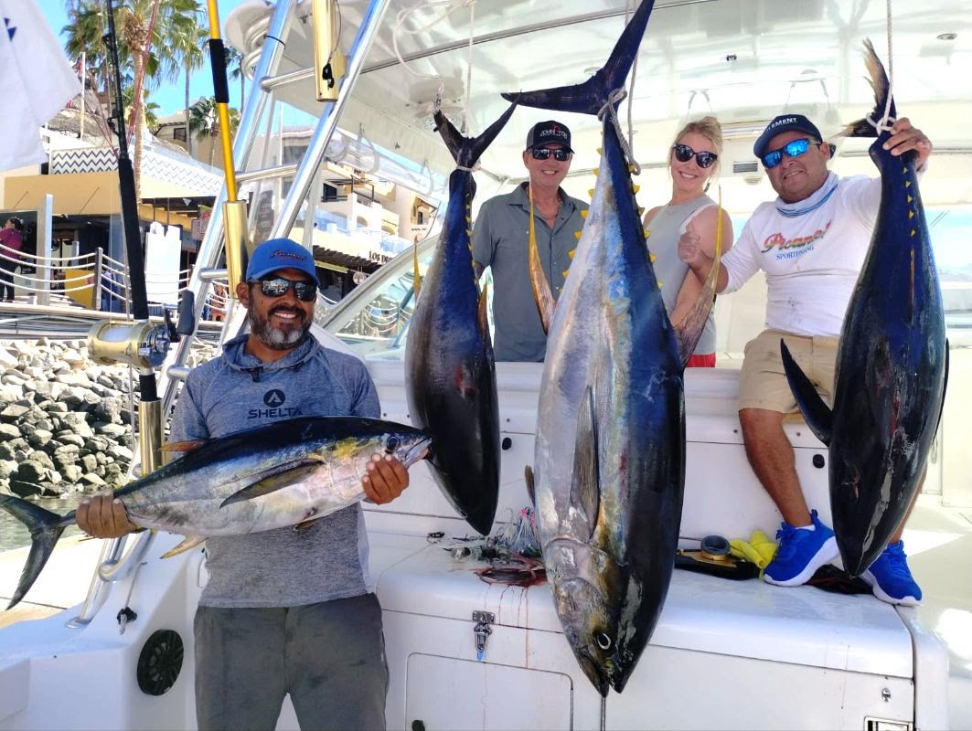 Cabo Fishing Report - November 2024 - Picante Sportfishing