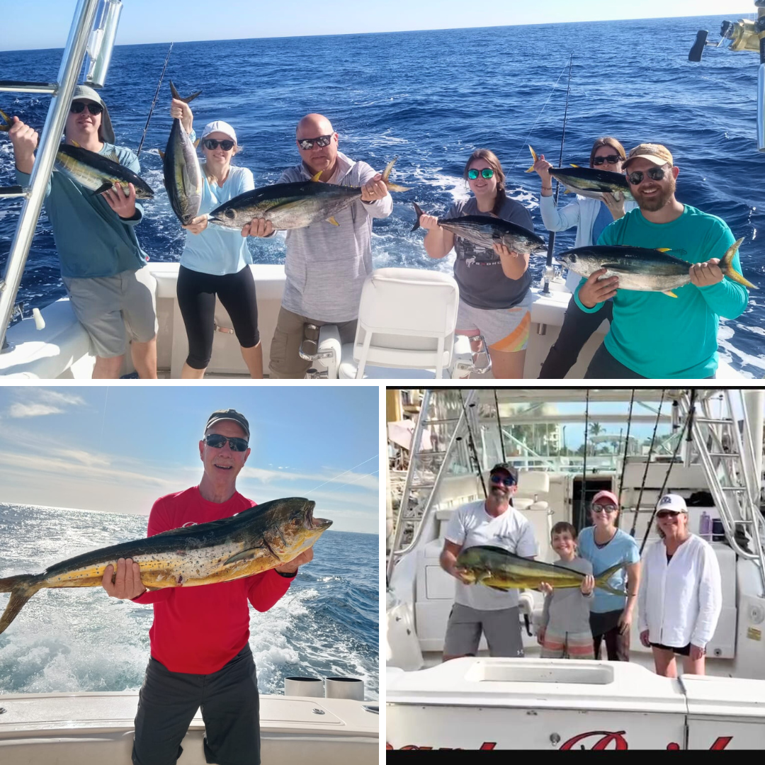 Cabo-Fishing-Report-February-2025-Picante-Sportfishing