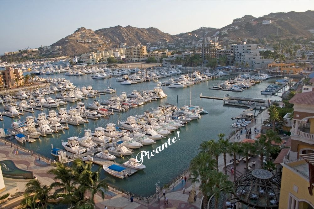 Picante Sportfishing fleet Location