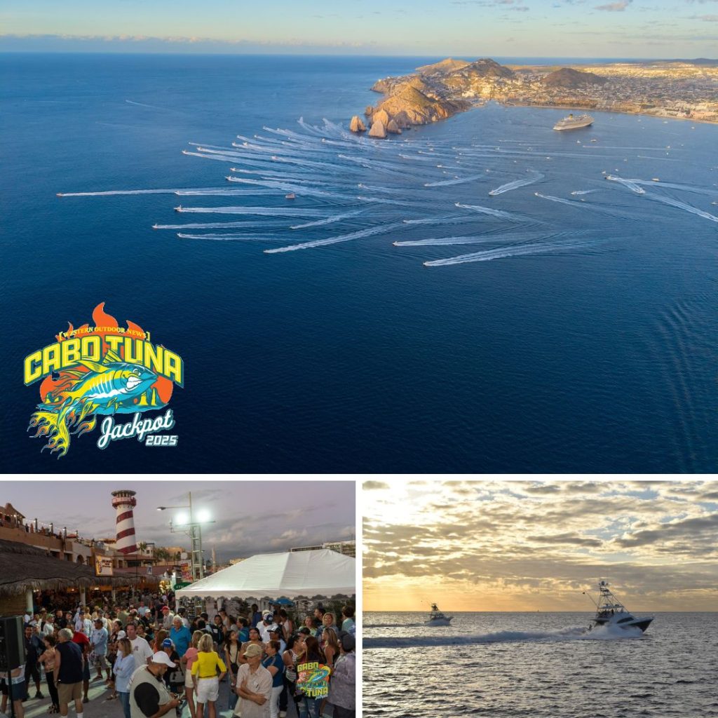 November is an exceptional month for Yellowfin tuna fishing in Los Cabos