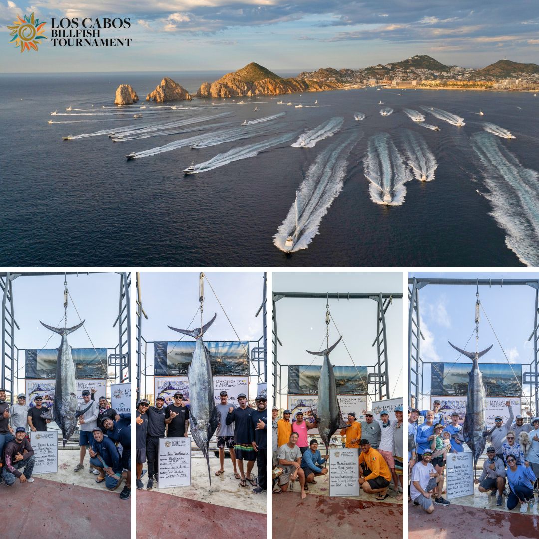 Shotgun start and champion teams of the 2024 Billfish Tournament, each bringing in impressive Black Marlin