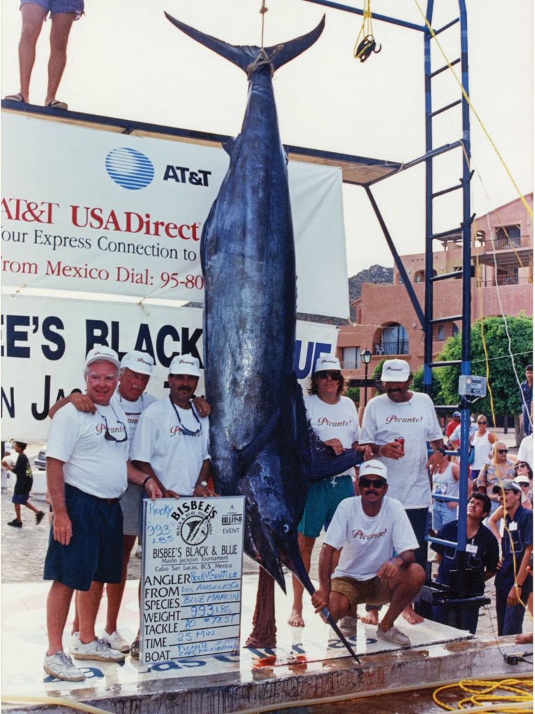 1994 Bisbees record