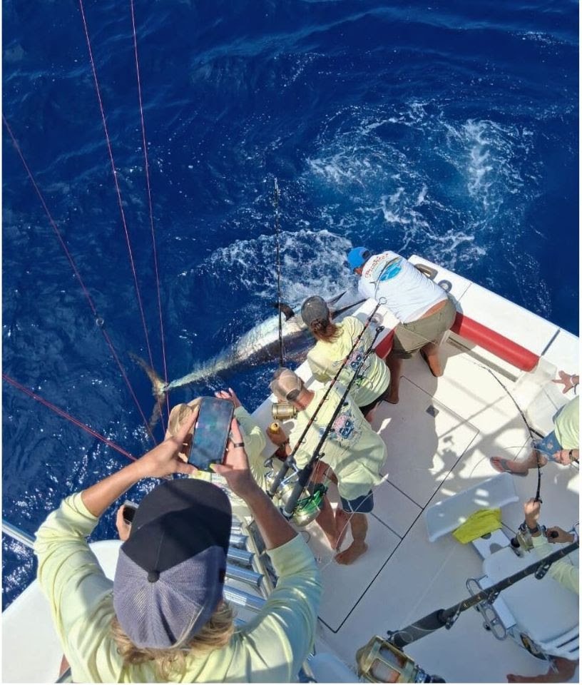 Blue-marlin-released-aboard-the-Caliente-45
