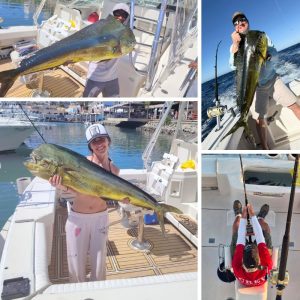 Cabo-Fishing-Report-February-2026-Picante-Sportfishing