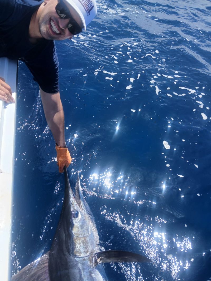May brought Cabo big Striped Marlin, 120 to 130 1b